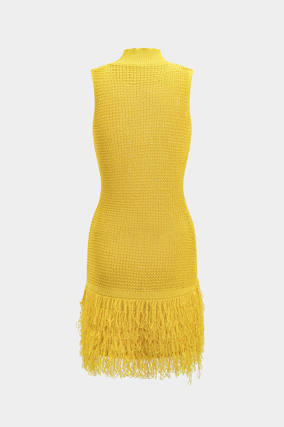 Fringe Trim Knit Mini Dress