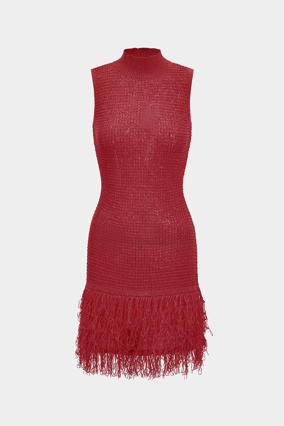 Fringe Trim Knit Mini Dress