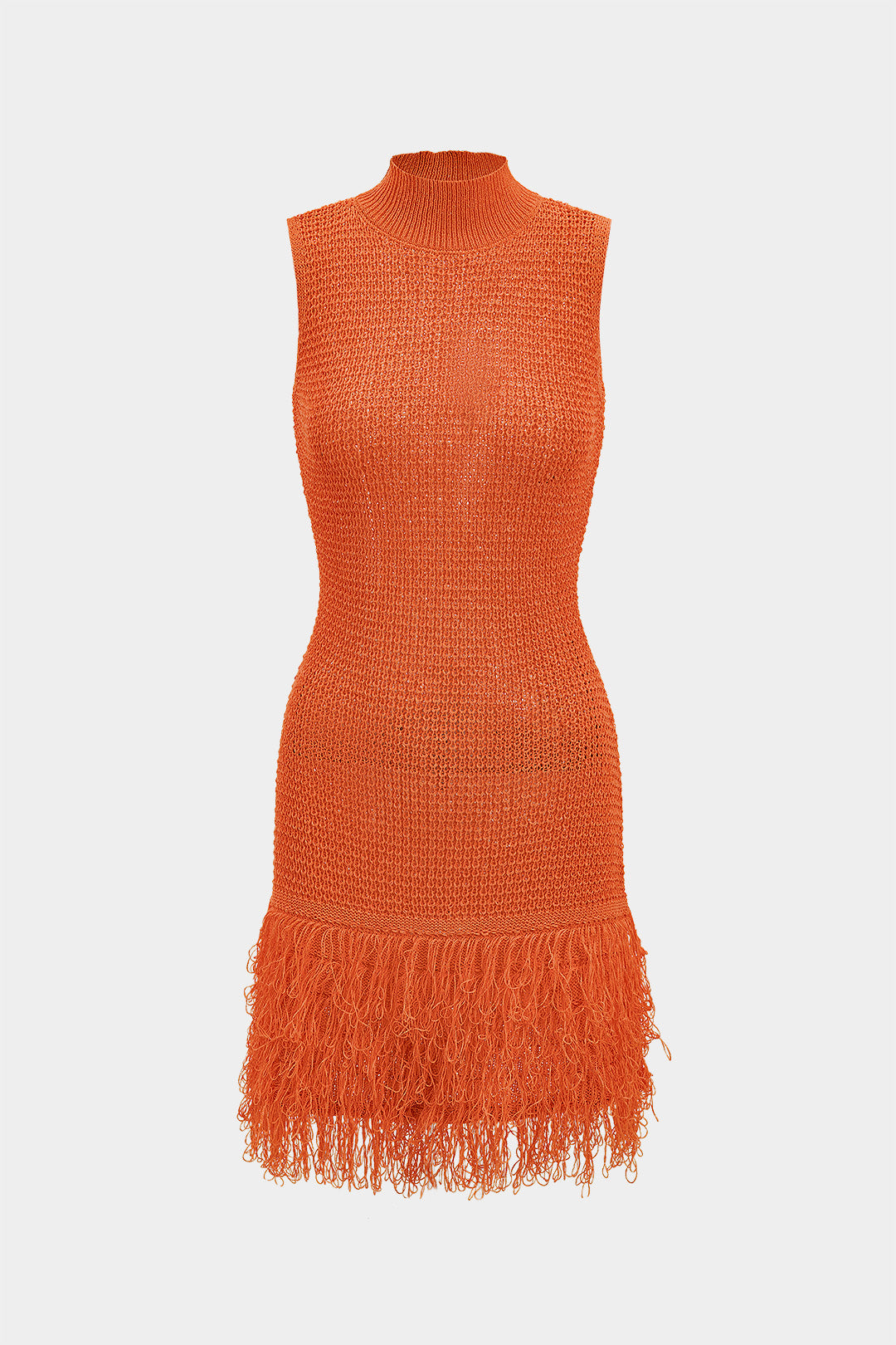 Fringe Trim Knit Mini Dress