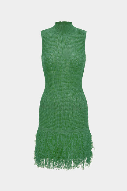 Fringe Trim Knit Mini Dress