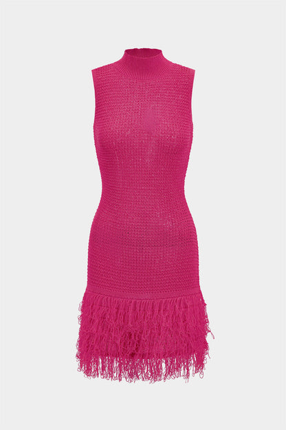 Fringe Trim Knit Mini Dress