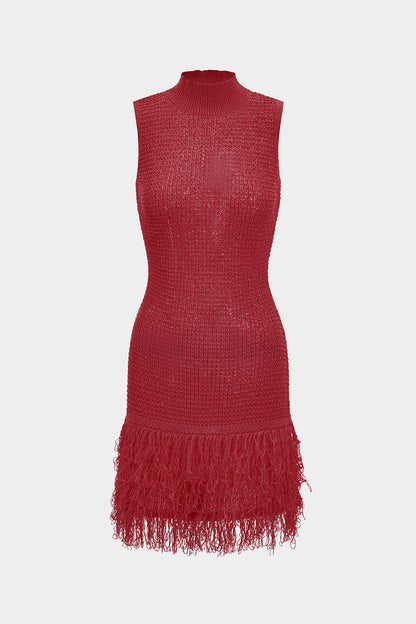 Fringe Trim Knit Mini Dress