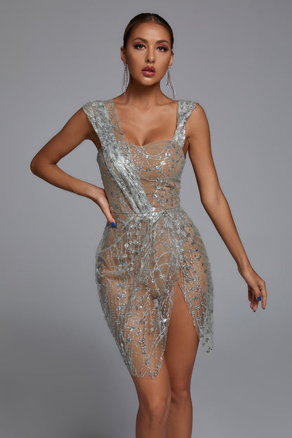 Delila- Silver Glitter Mesh Mini Dress