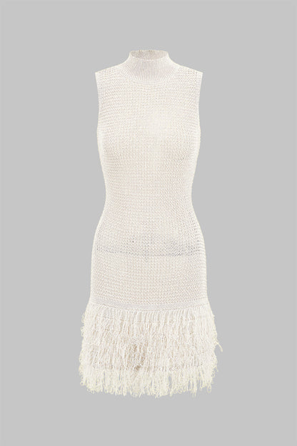 Fringe Trim Knit Mini Dress