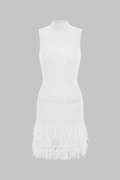 Fringe Trim Knit Mini Dress