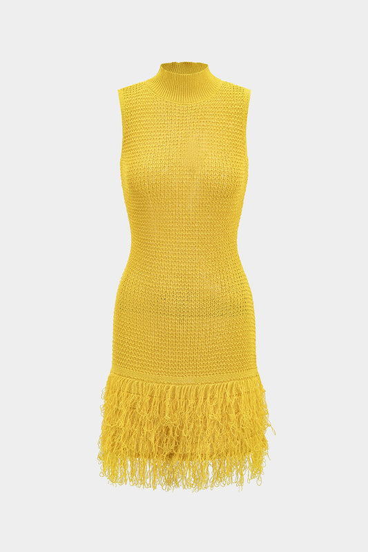 Fringe Trim Knit Mini Dress